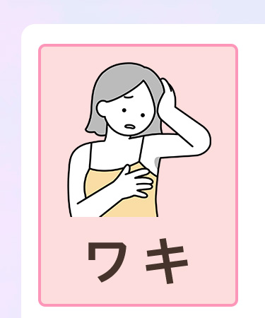 ワキ