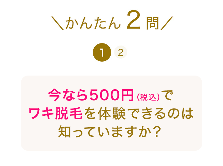 \かんたん2問 /
12
今なら500円 (税込)で
ワキ脱毛を体験できるのは
知っていますか?
