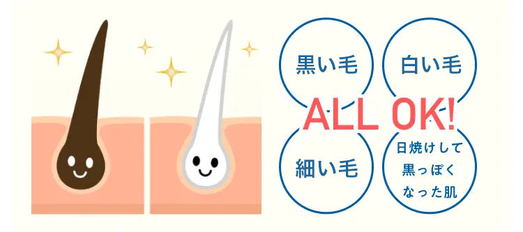 黒い毛
白い毛
ALL OK!
日焼けして
細い毛
黒っぽく
なった肌
