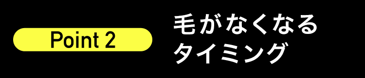 毛がなくなる
Point 2
タイミング