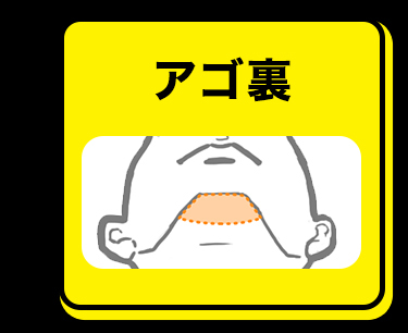 アゴ裏