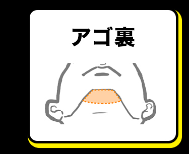 アゴ裏
