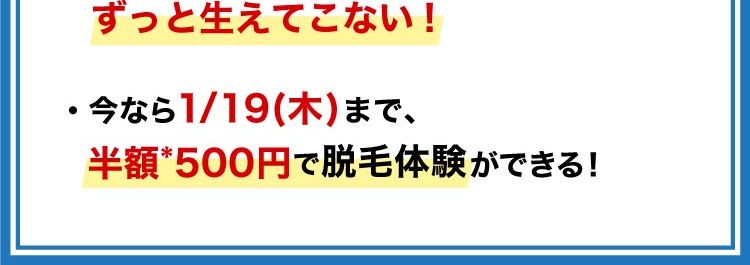 おすすめポイント
