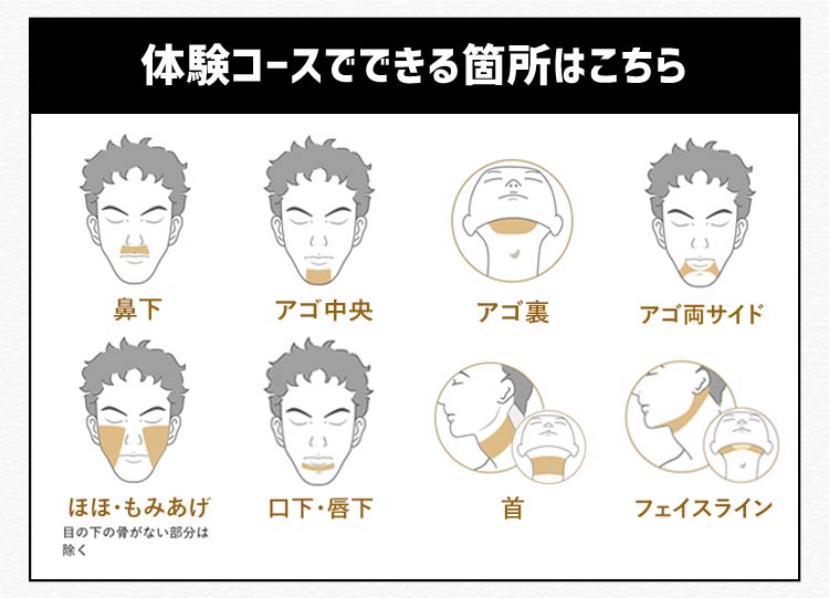 効果への満足度９８.0％