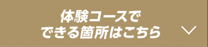 体験コースでできる箇所はこちら
