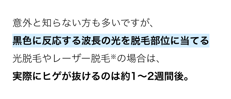 意外と知らない方も多いですが、
黒色に反応する波長の光を脱毛部位に当てる
光脱毛や医療レーザー脱毛の場合は、
実際にヒゲが抜けるのは約1~2週間後。