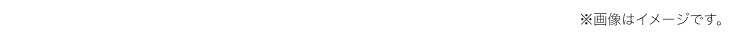 ※画像はイメージです。