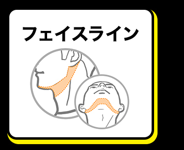 フェイスライン