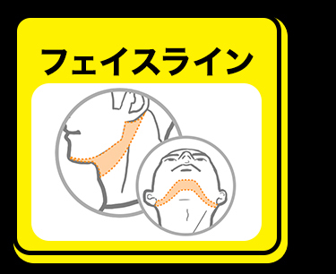 フェイスライン