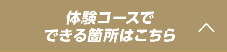 体験コースでできる箇所はこちら