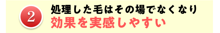 処理した毛はその場でなくなり
2
効果を実感しやすい